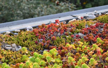 the cost of Coolham green roof installation