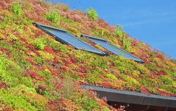 Coolham living roof systems